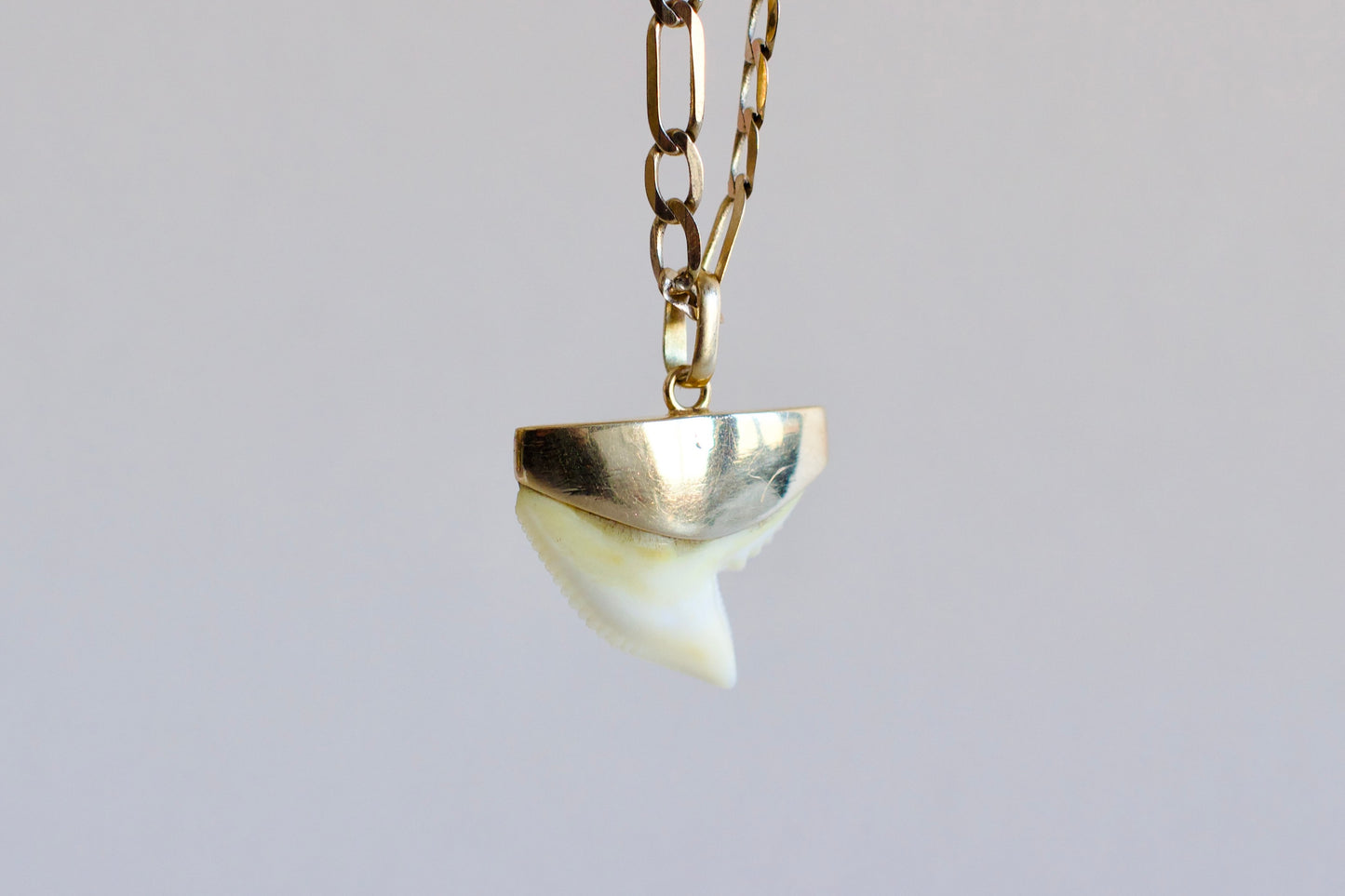 Rare - Illustrious 18k Gold Charms with Shark Tooth