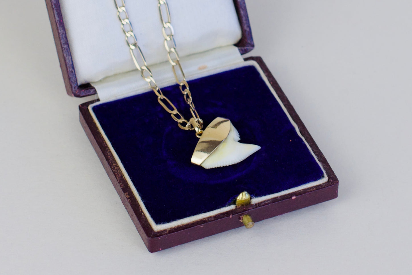 Rare - Illustrious 18k Gold Charms with Shark Tooth