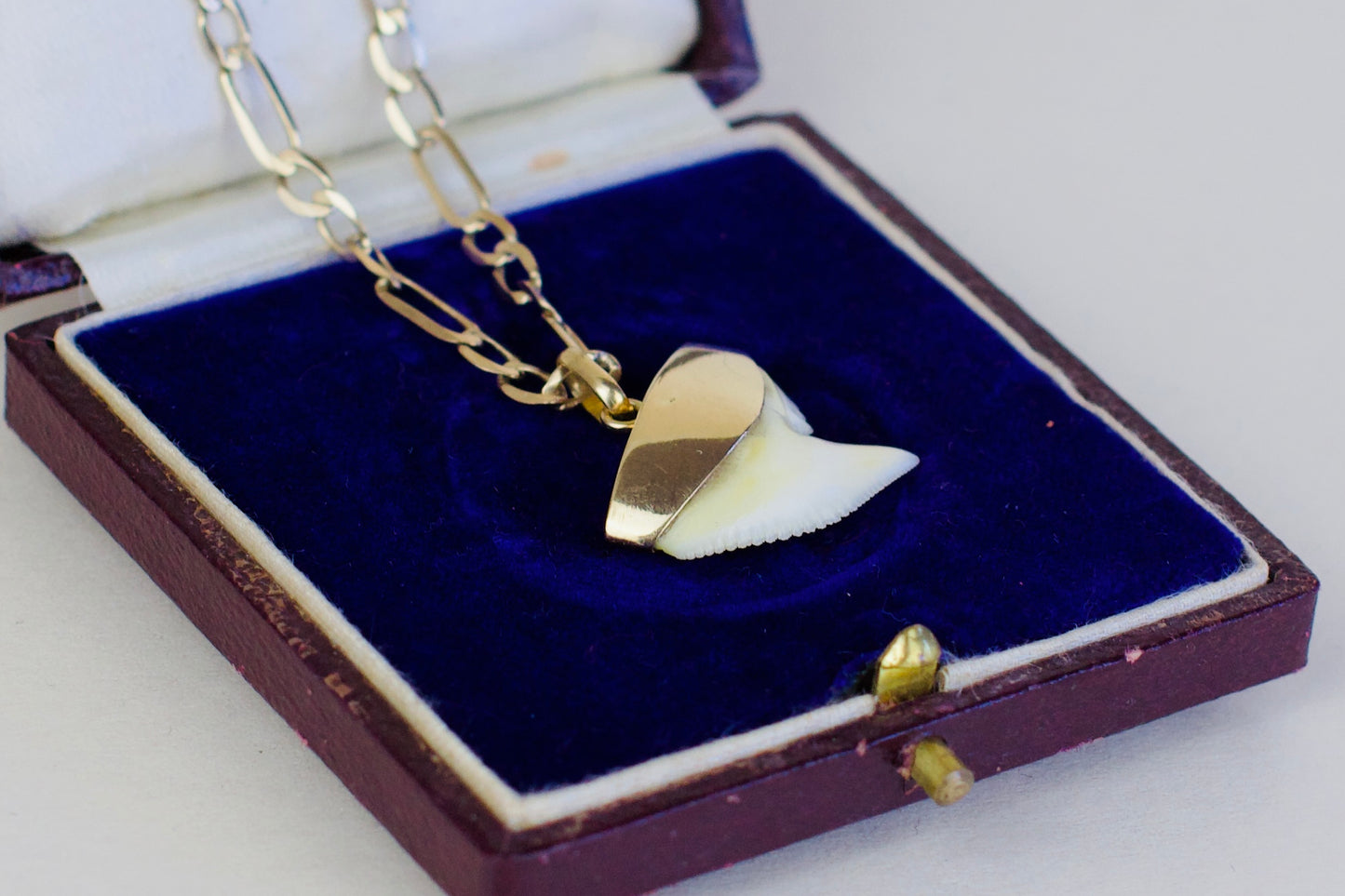 Rare - Illustrious 18k Gold Charms with Shark Tooth